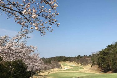 桜情報です。