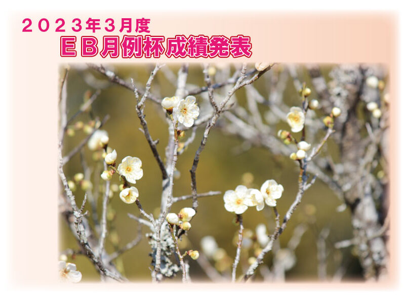 2023年3月度 EB月例杯成績発表