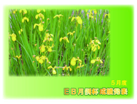 ２０２５年５月度 ＥＢ月例杯成績発表